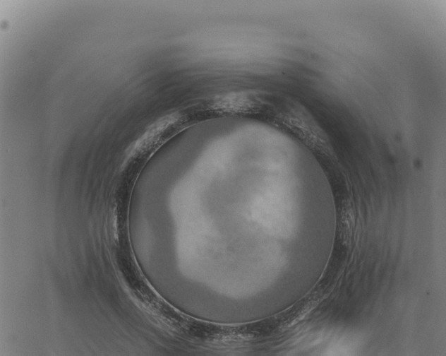 X0000063470734200601271629