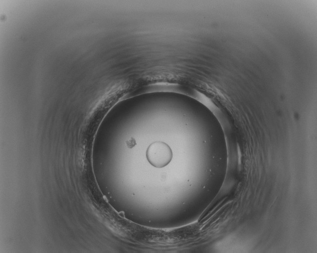 X0000063470735200601271629