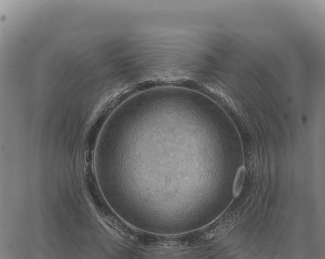 X0000063470736200601271629