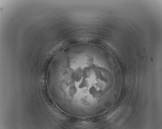 X0000063470737200601271629