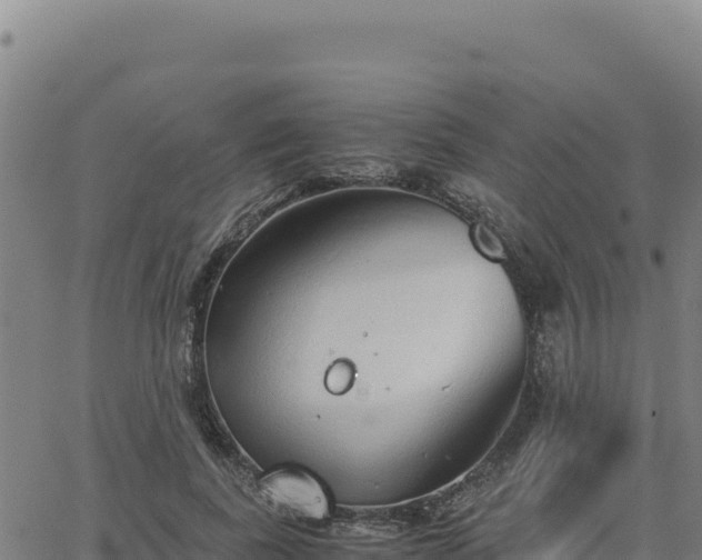 X0000063470739200601271629