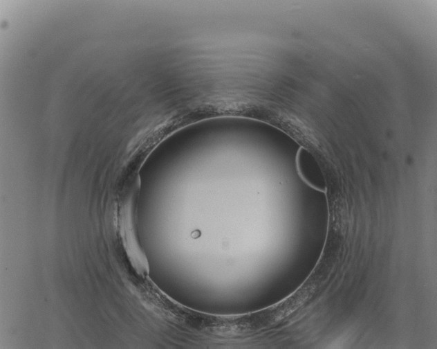 X0000063470740200601271629