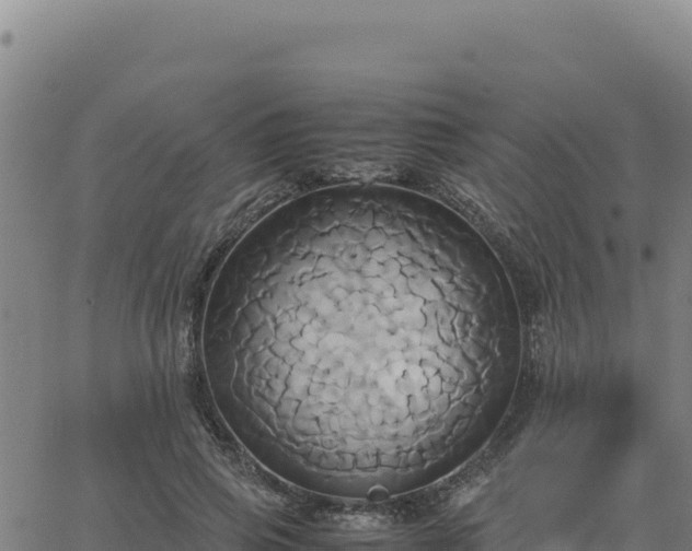 X0000063470741200601271629