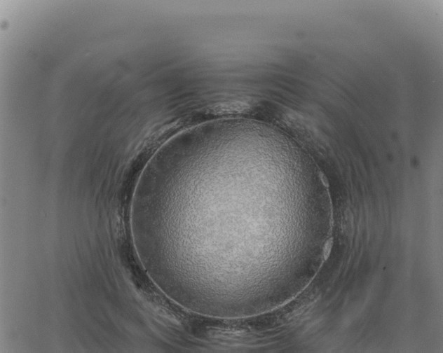 X0000063470743200601271629