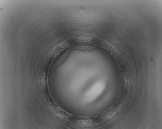 X0000063470745200601271629