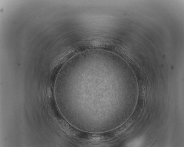 X0000063470746200601271629