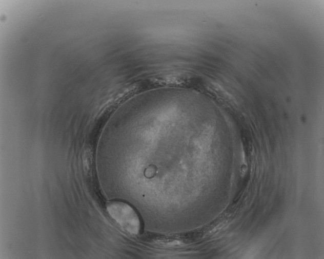 X0000063470747200601271629