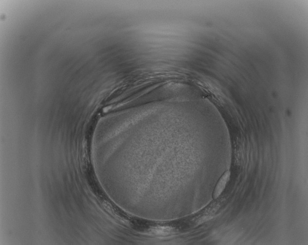 X0000063470748200601271629