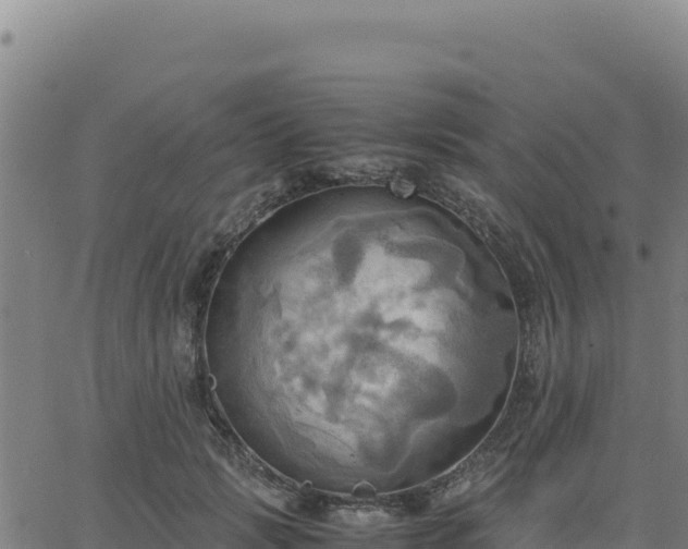 X0000063470749200601271629