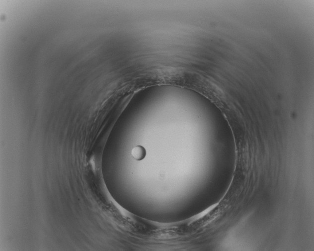 X0000063470750200601271629