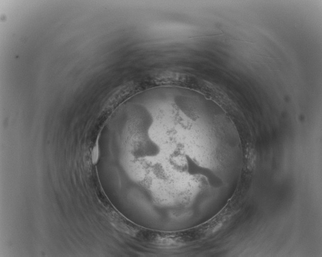 X0000063470753200601271629