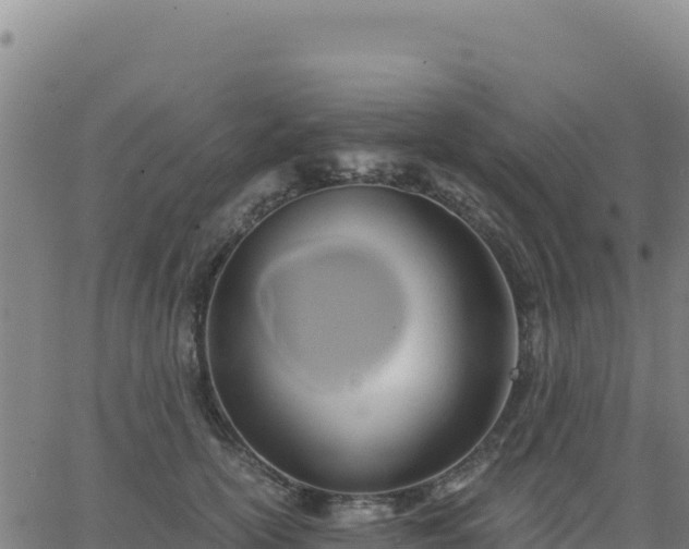 X0000063470754200601271629