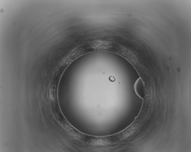 X0000063470755200601271629