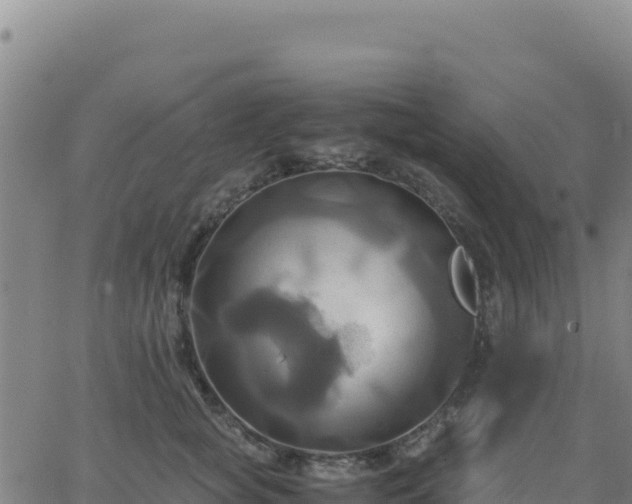 X0000063470757200601271629