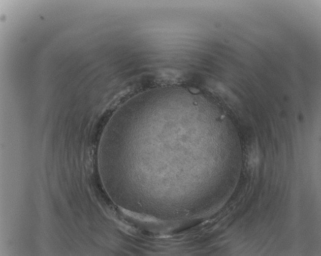 X0000063470759200601271629