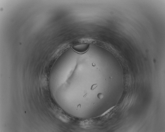 X0000063470761200601271629