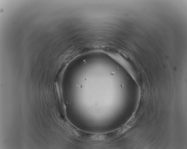 X0000063470762200601271629