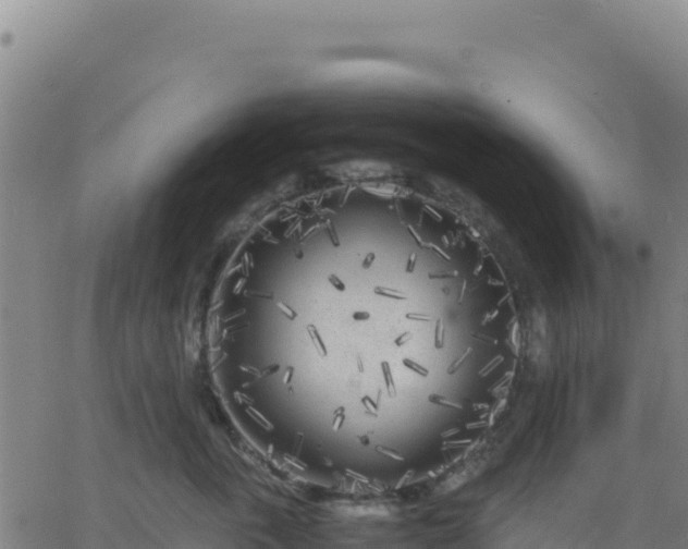 X0000063470763200601271629