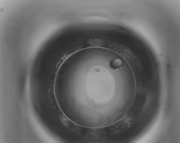 X0000063470765200601271629