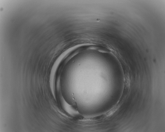 X0000063470766200601271629