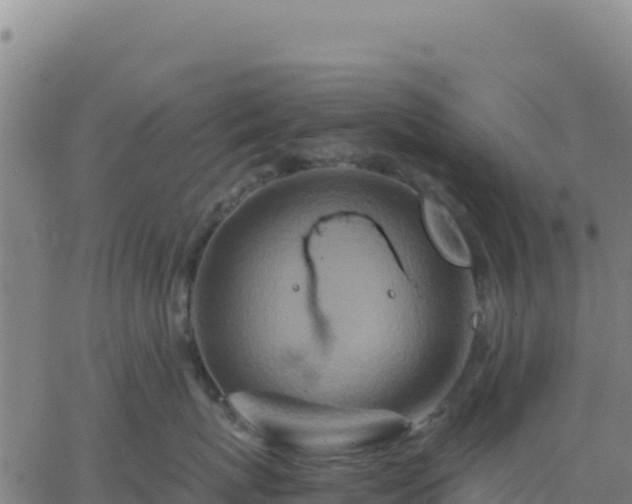 X0000063470767200601271629