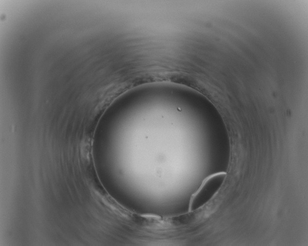 X0000063470768200601271629