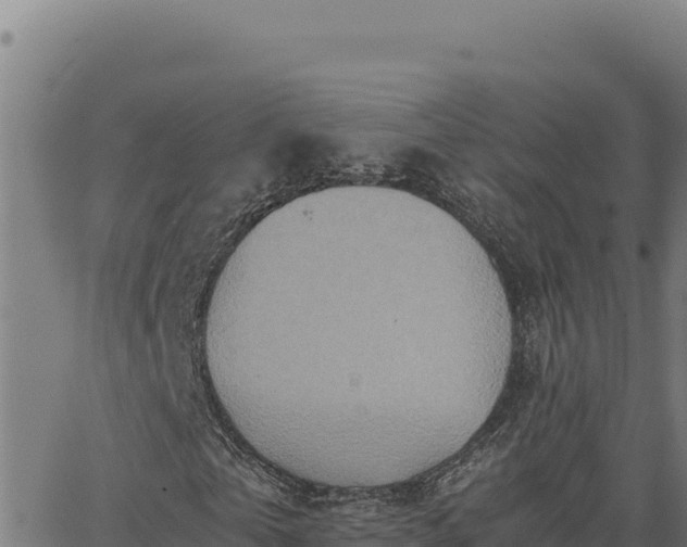 X0000063470769200601271629