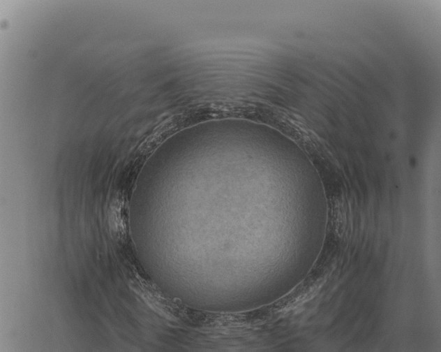 X0000063470770200601271629