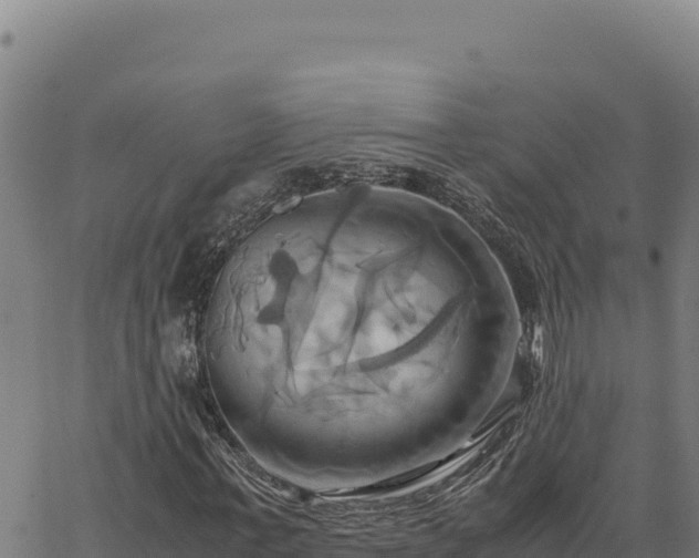 X0000063470771200601271629