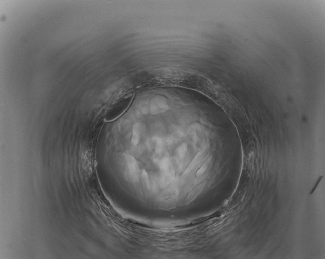 X0000063470772200601271629