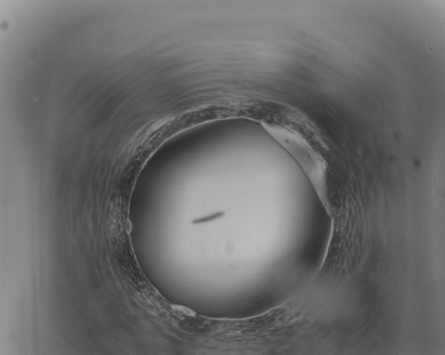 X0000063470773200601271628