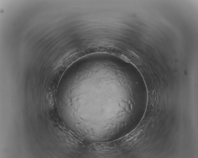 X0000063470774200601271628