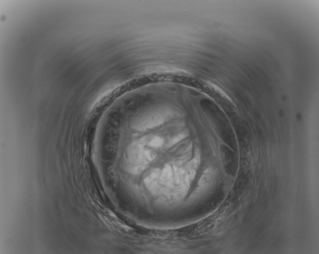 X0000063470775200601271628