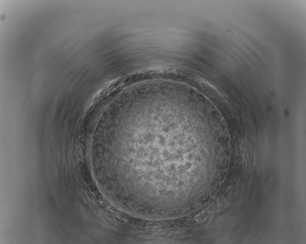 X0000063470776200601271628