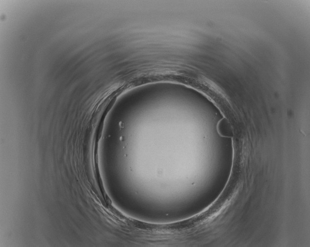 X0000063470777200601271628