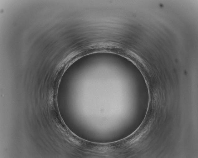 X0000063470778200601271628