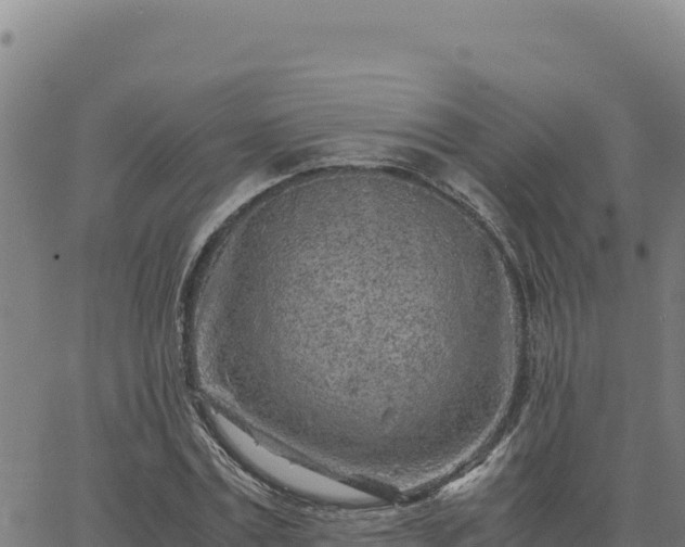 X0000063470779200601271628