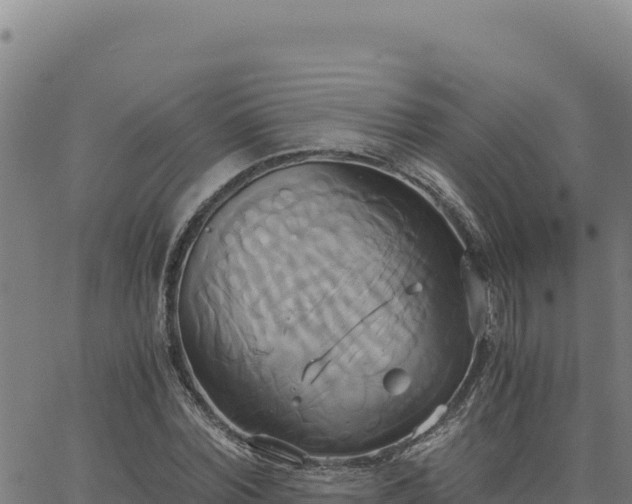 X0000063470780200601271628