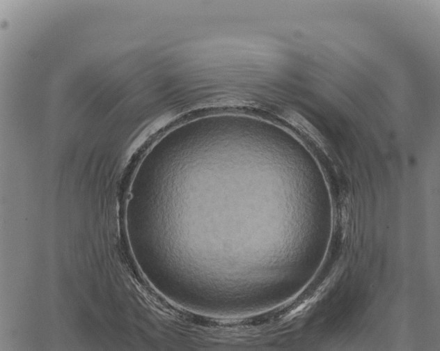 X0000063470781200601271628