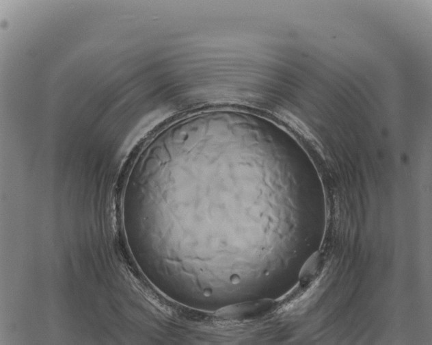 X0000063470782200601271628