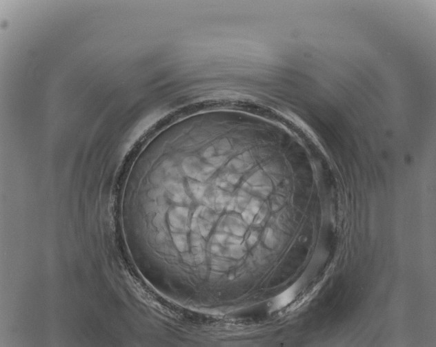 X0000063470783200601271628