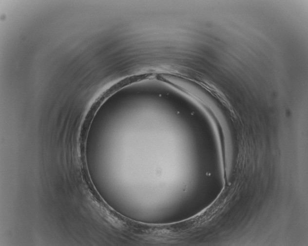 X0000063470784200601271628