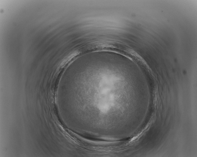 X0000063470785200601271628