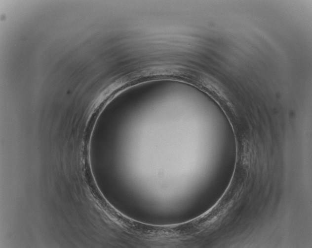 X0000063470786200601271628