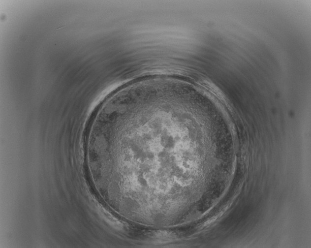 X0000063470787200601271628