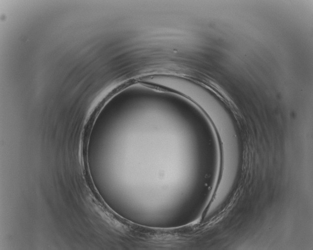 X0000063470788200601271628