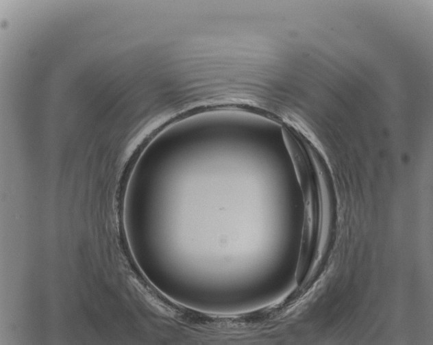 X0000063470789200601271628