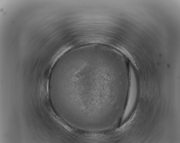 X0000063470790200601271628