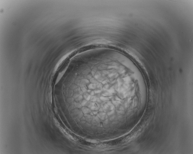 X0000063470791200601271628