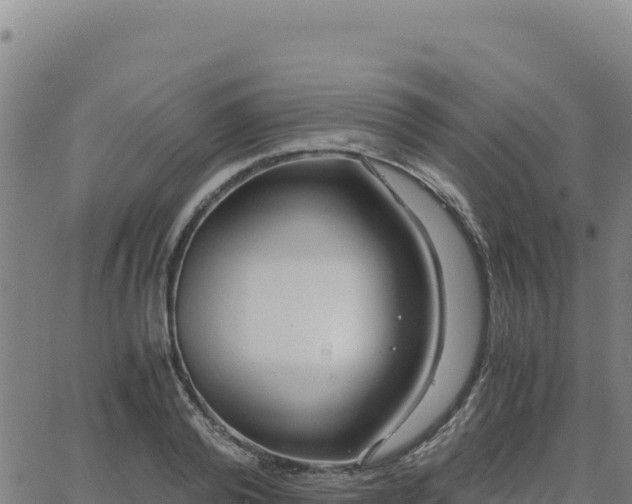 X0000063470792200601271628